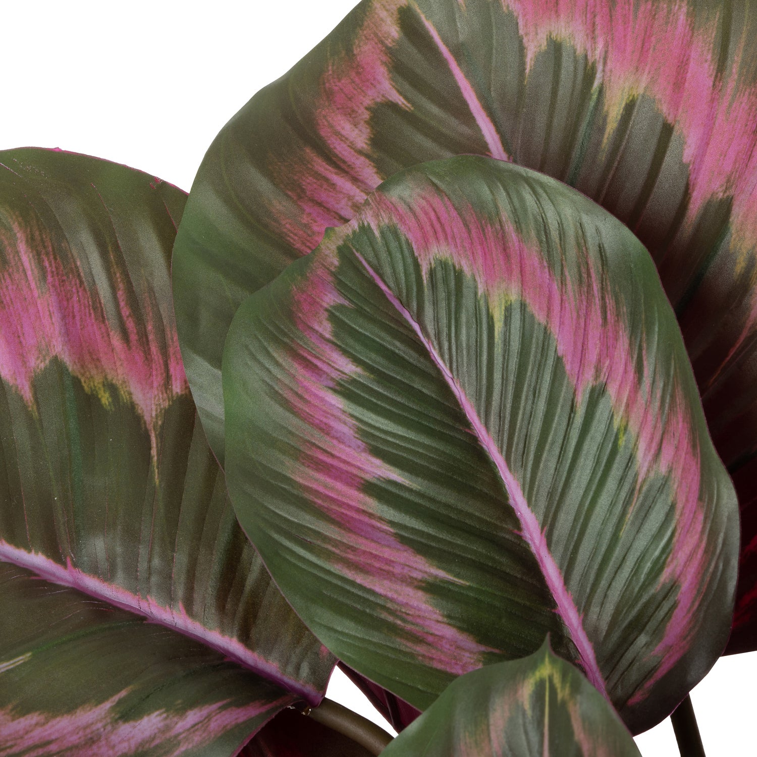 Intratuin kunstplant Calathea groenrood 44 x 38 x 45 cm
