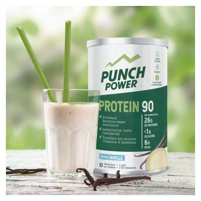 Punch Power Whey Protein 350 g - Vanille