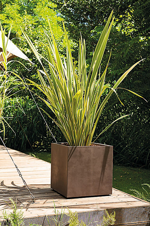 Cubo à réserve d'eau plastique Deroma Millennium brownstone 39 x39 x h.39,1 cm