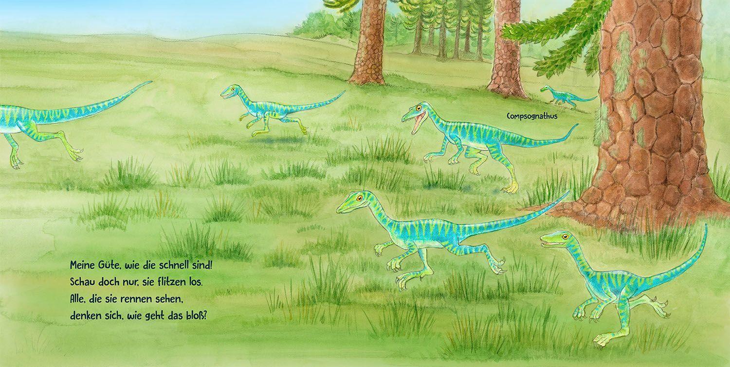 Guck mal die Dinosaurier