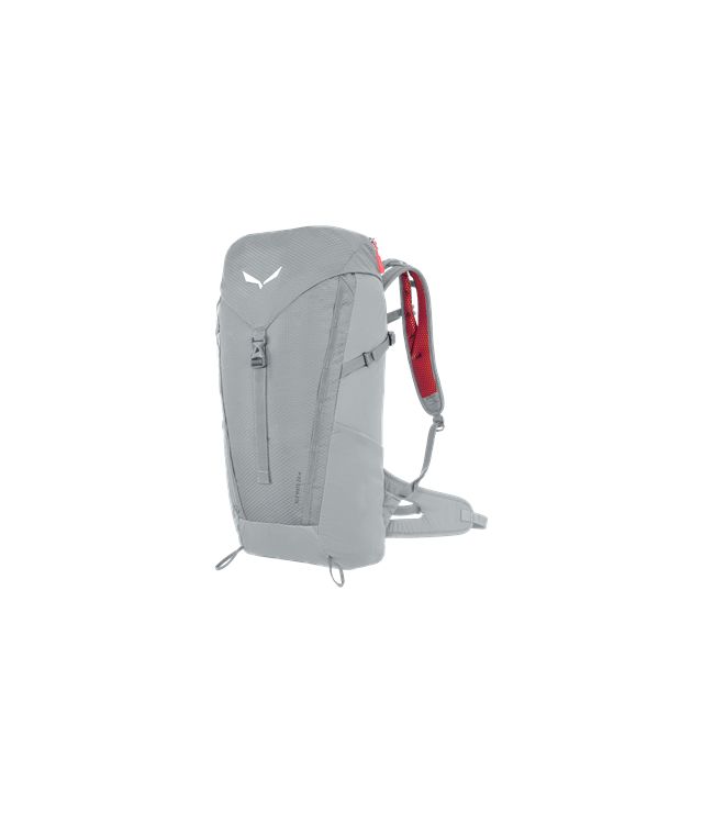 SalewaAlp Mate 24 WS - grau