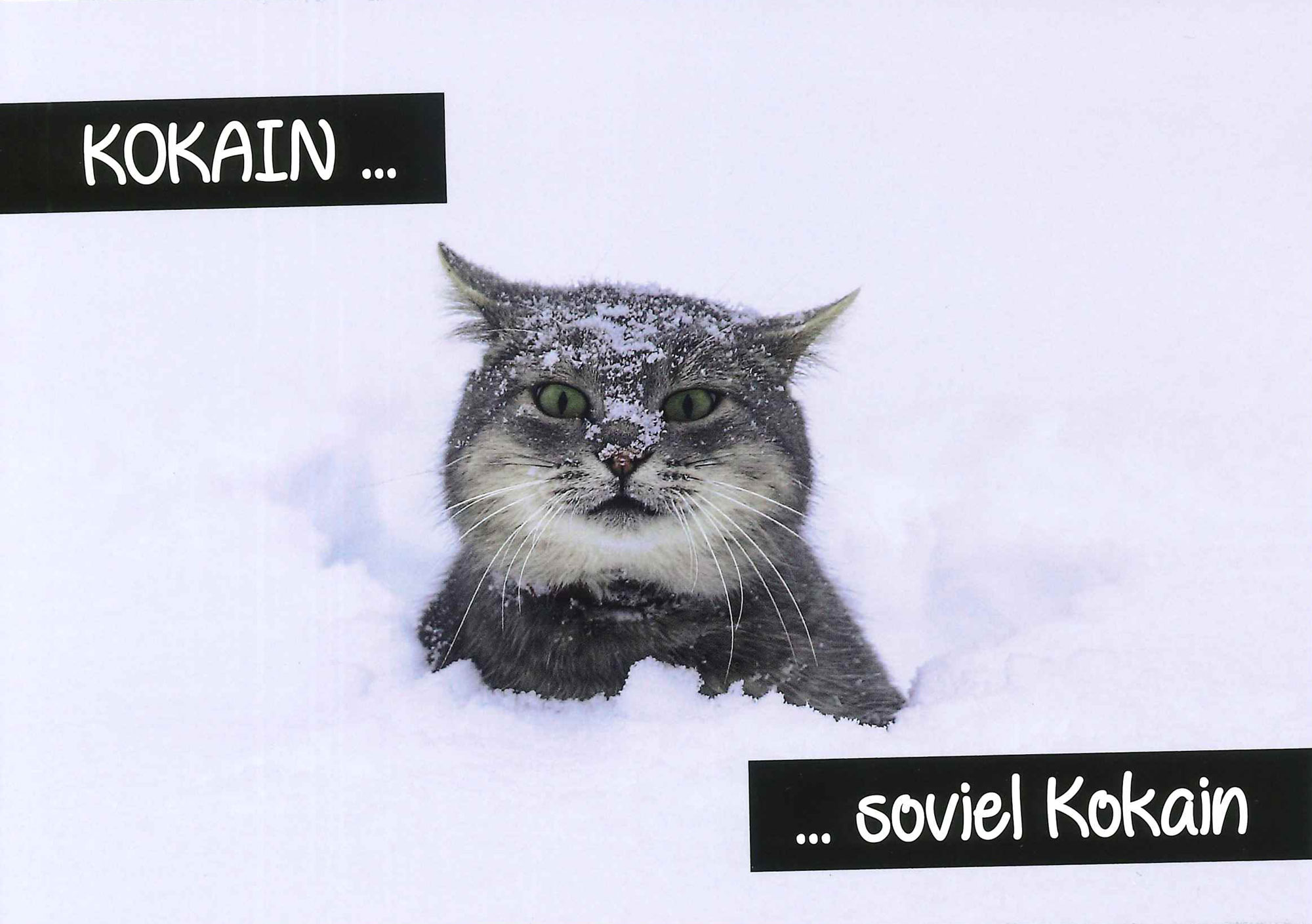 Postkarte 'Kokain... so viel Kokain' günstig bestellen