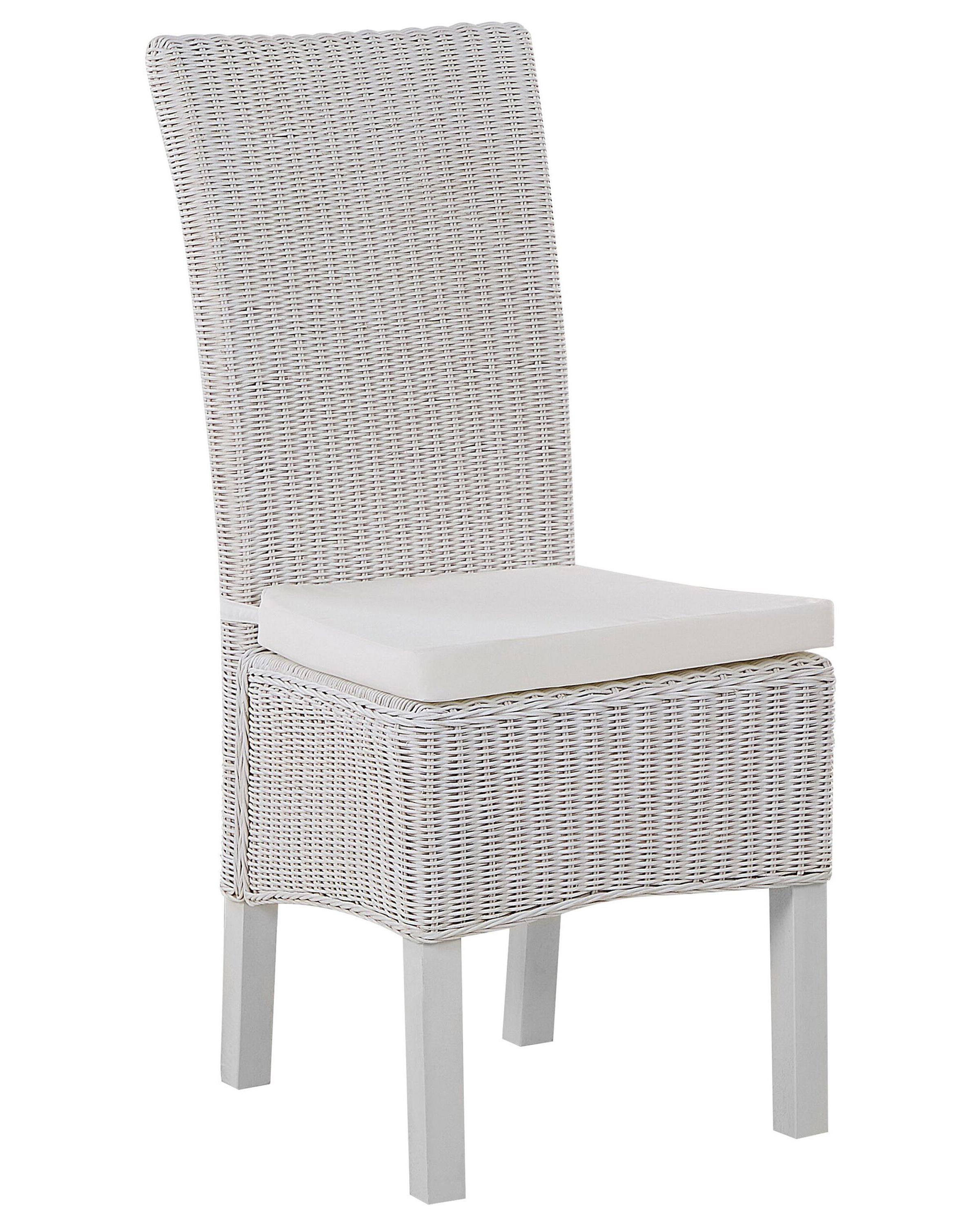 Set van 2 eetkamerstoelen ANDES Rotan Wit