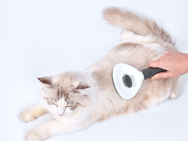 Hundebørste / Pelsbørste - Hund & Katt