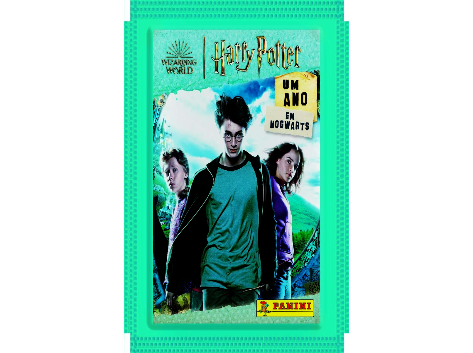 SAQUETA HARRY POTTER UM ANO EM HOGWARTS