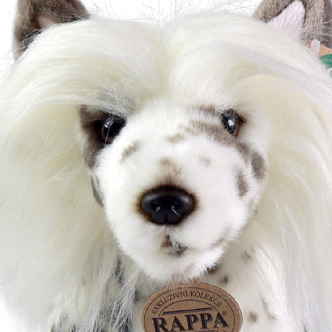 rappa knuffelhond chinees - 25 cm