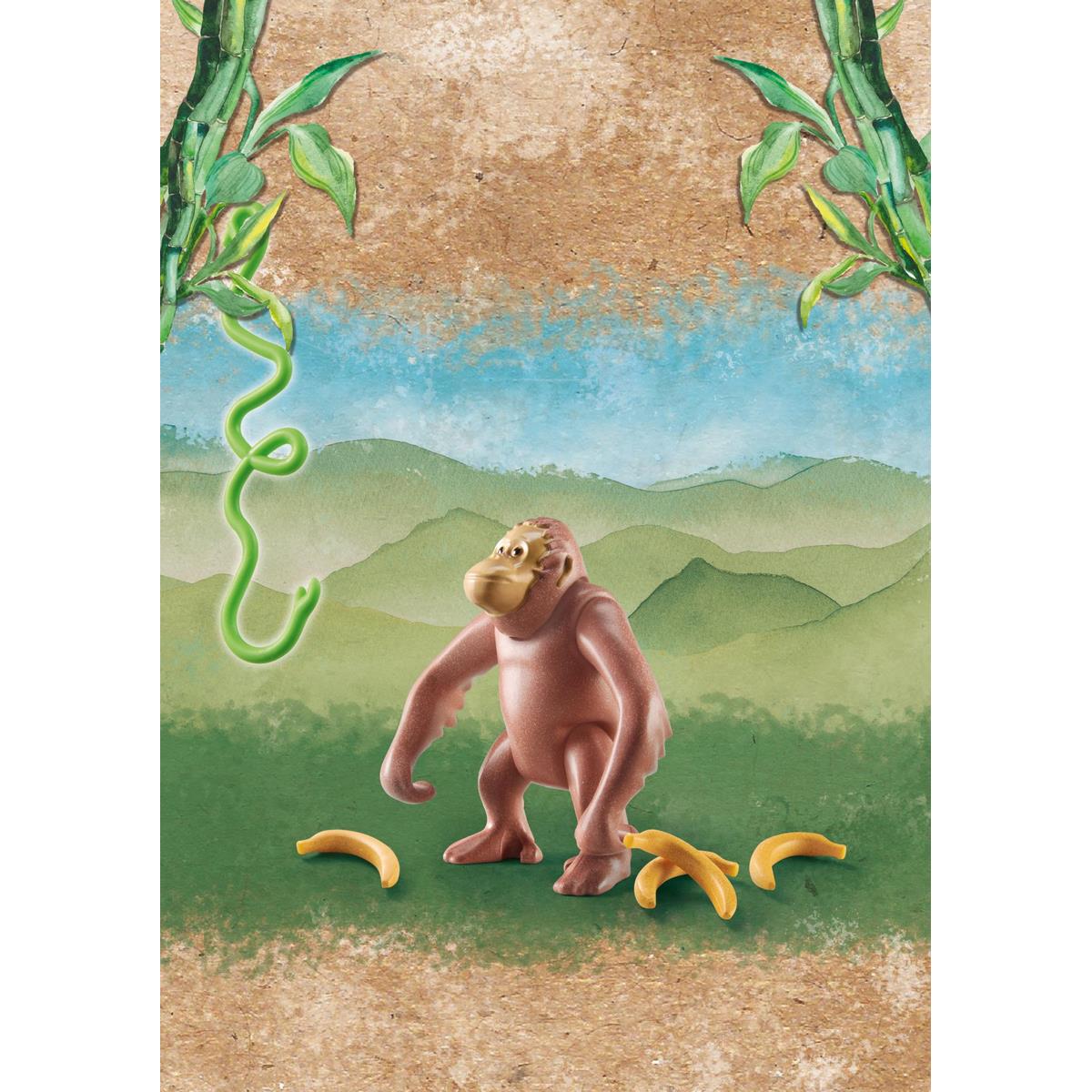 Orang-outan