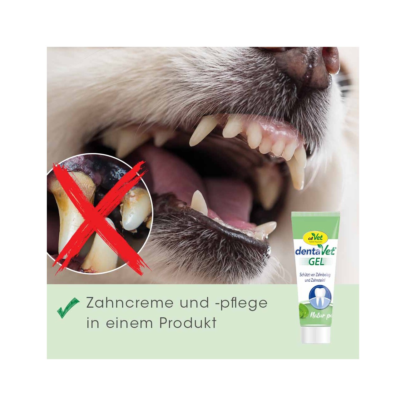 cdVet dentaVet Gel 25ml