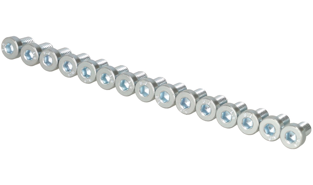 Unbraco bolte 6x10 mm - 15 stk.