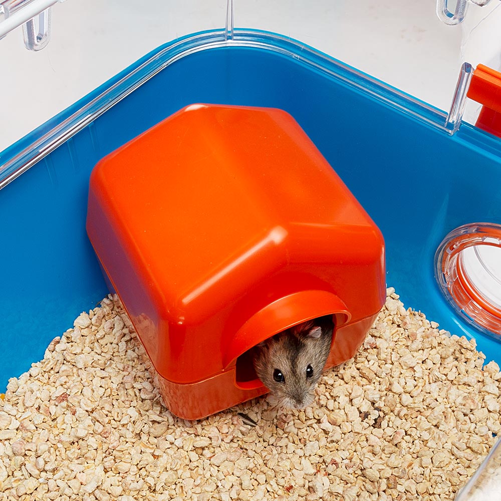 Ferplast cage pour hamsters combi 2, habitat pour petits rongeurs, plastique robuste, toit avec grille qui s'ouvre, tunnel et