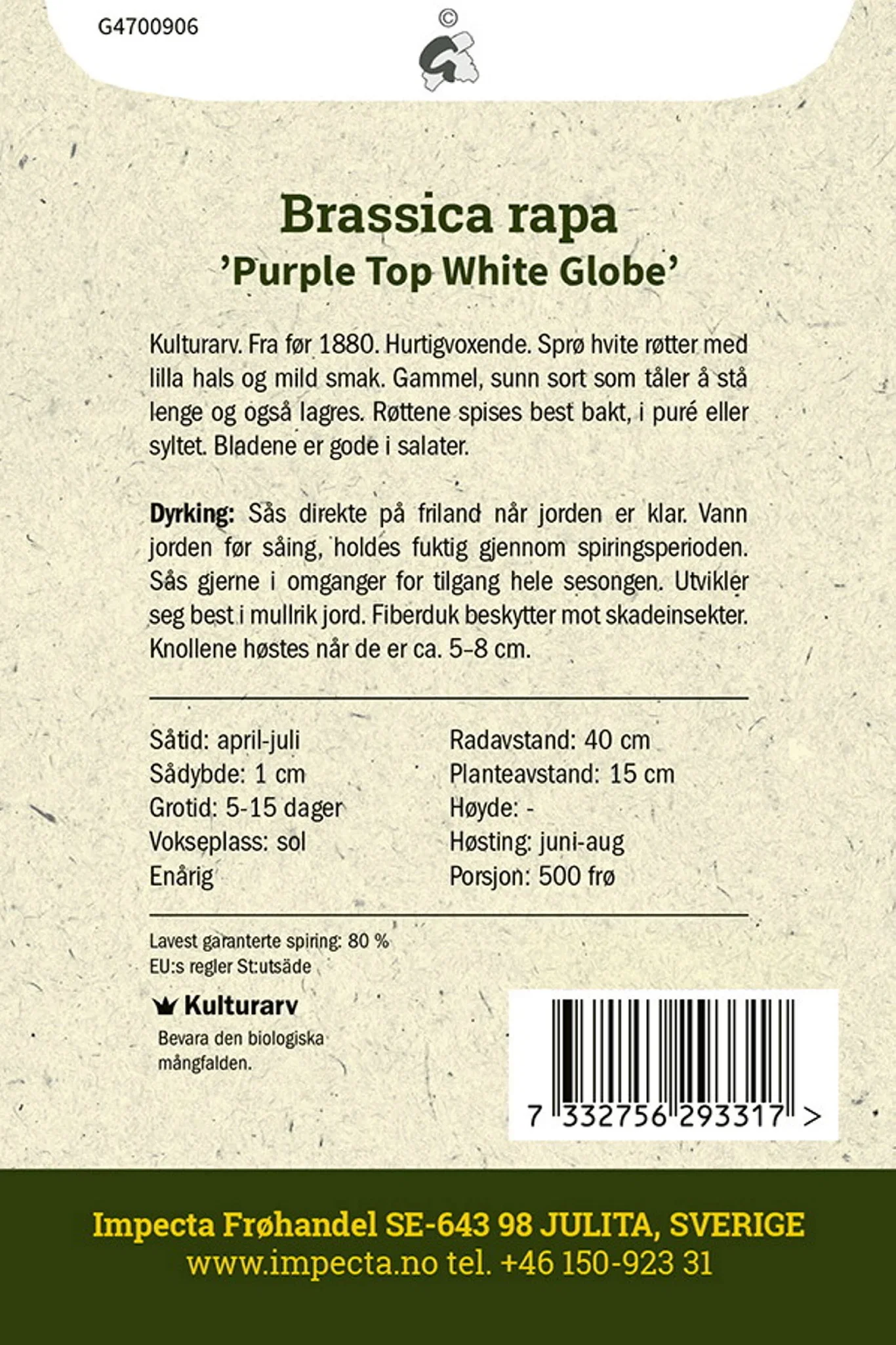 Brassica rapa 'Purple Top White Globe' Nepe 'Purple Top White Globe'