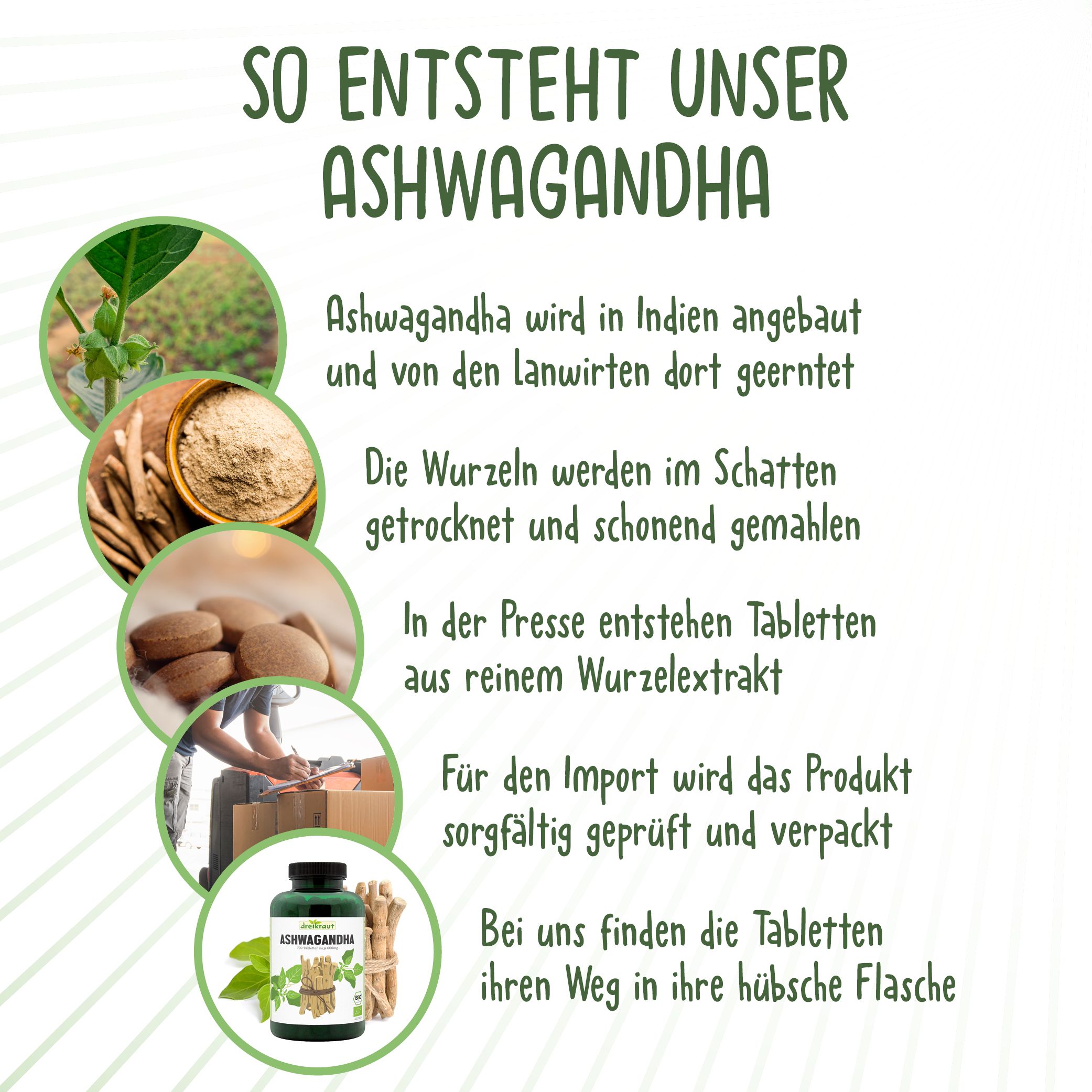 dreikraut®  Bio-Ashwaganda Tabletten