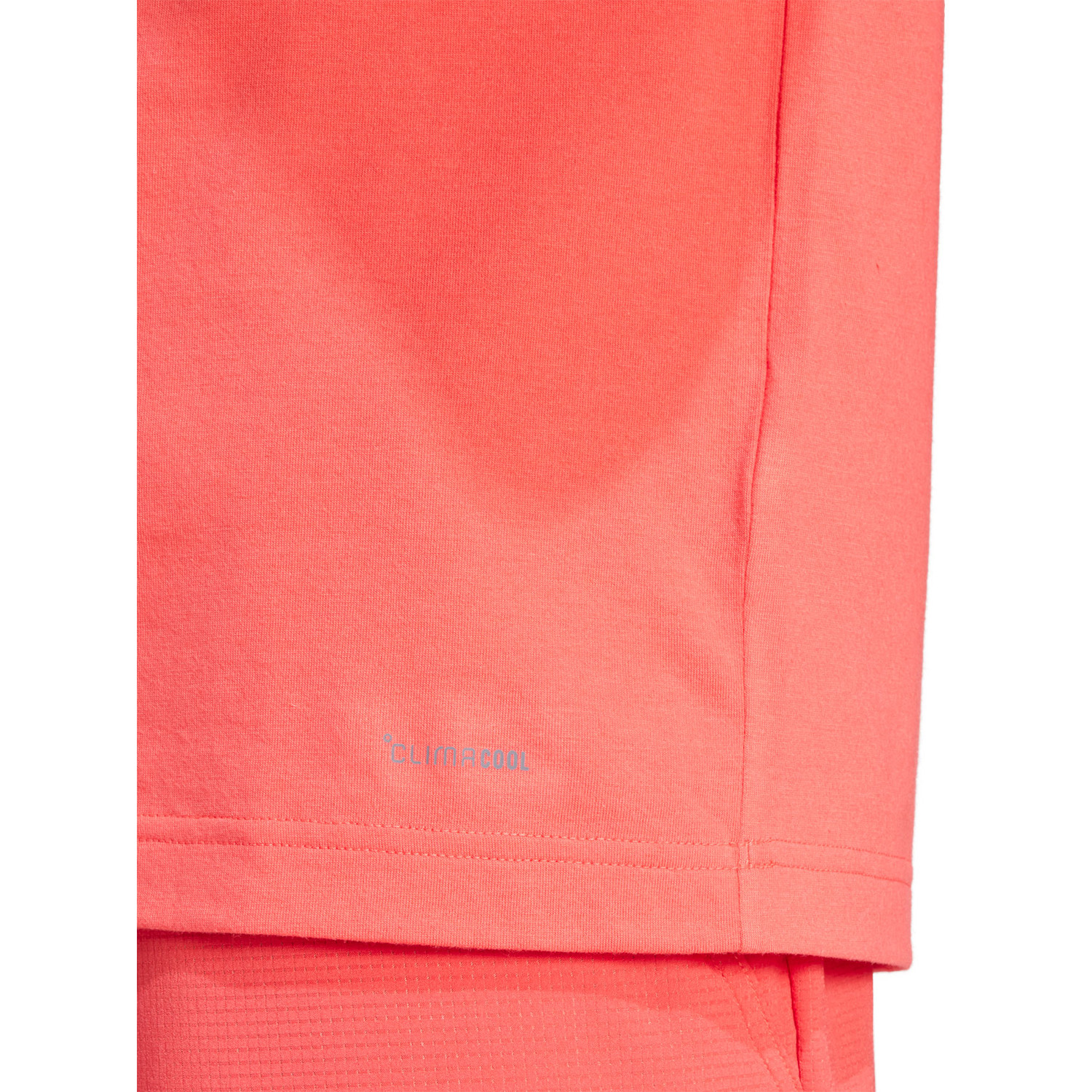adidas Logo Graphic Tee
