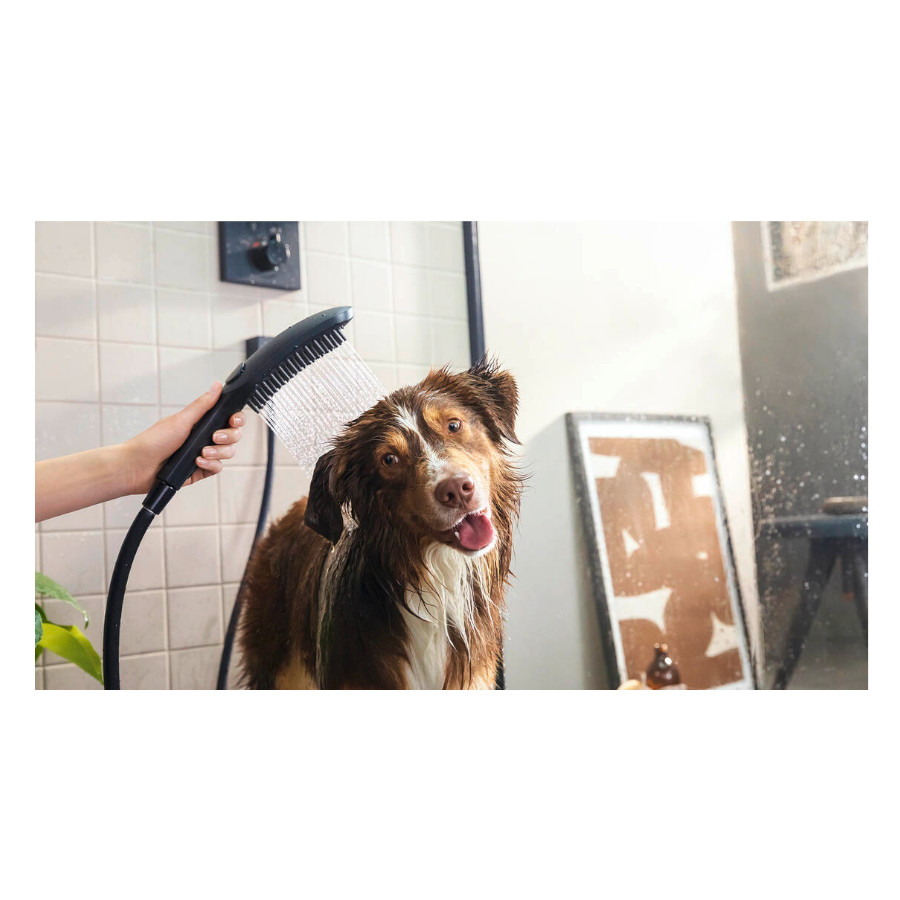 Chuveiro Hansgrohe Black Dog