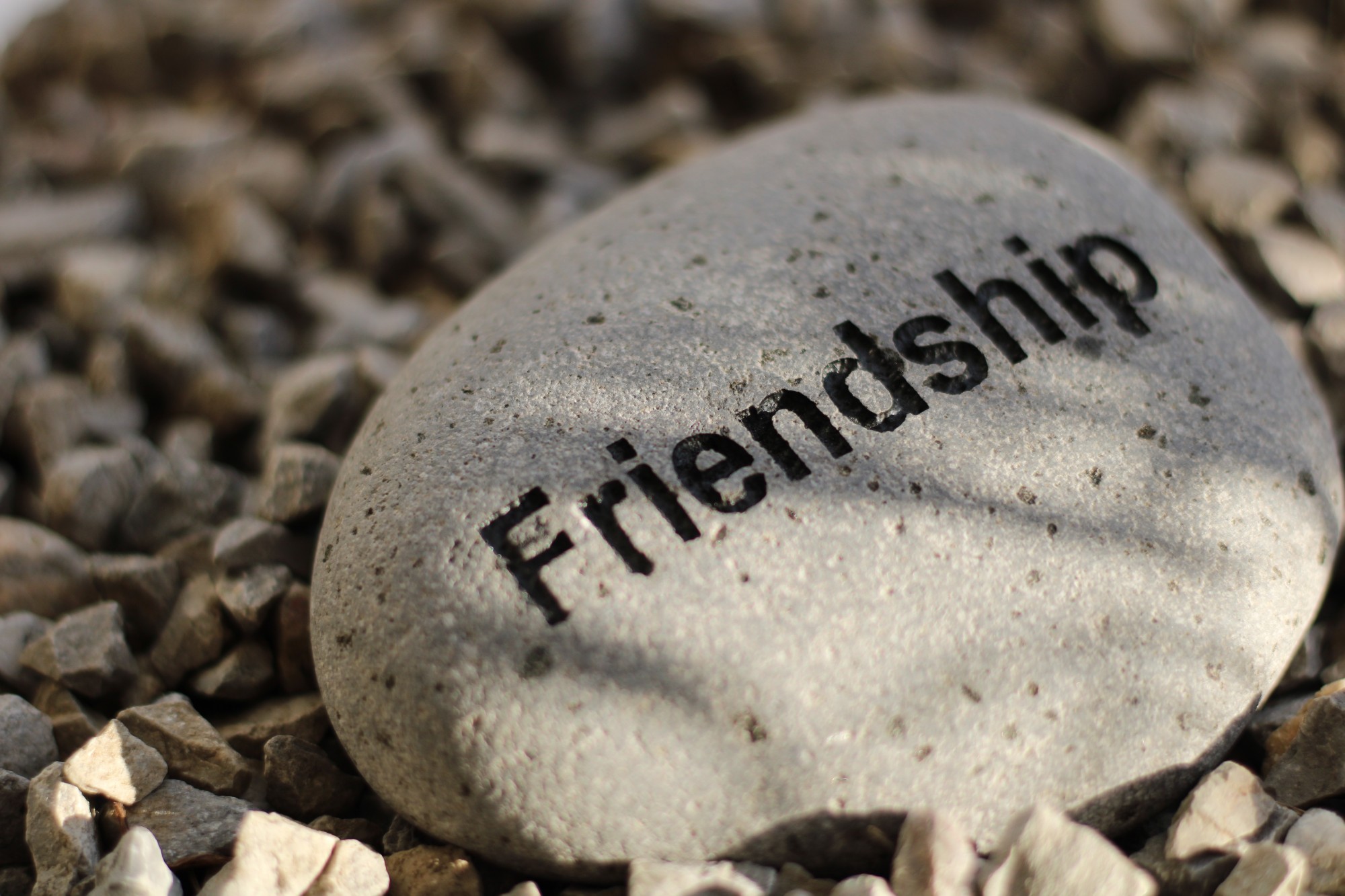 Flusskiesel 'Friendship', B 10-11 cm, H 3 cm von fischer's lagerhaus
