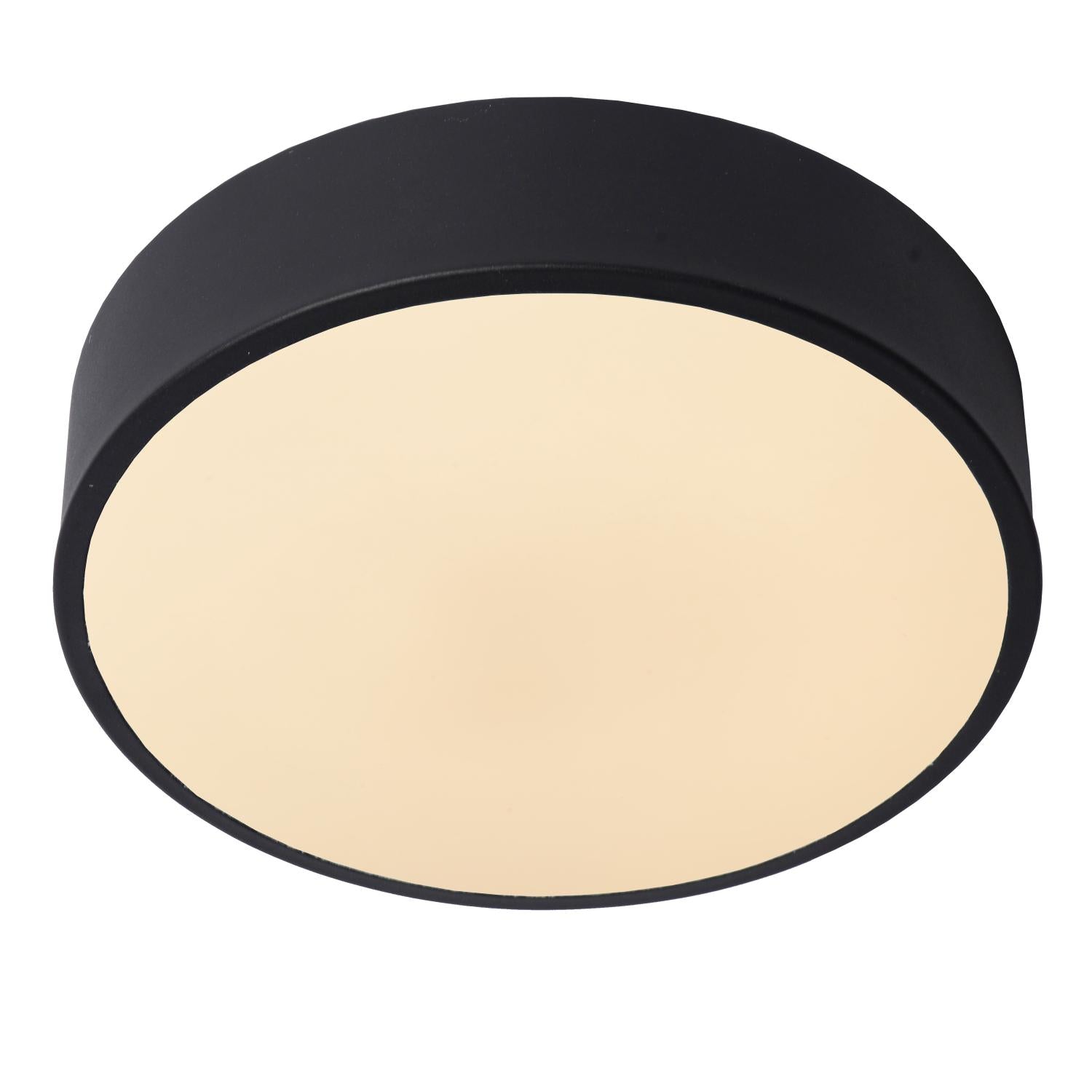 Unar plafondlamp LED Ã20 zwart