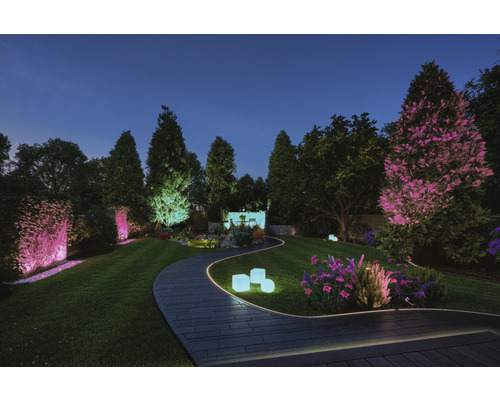 Paulmann Plug & Shine LED-strip Smarter Single Strip 240 LED's 280 lm 3000-6500 K RGBW Kleurverandering IP67 230/24 V 2 m