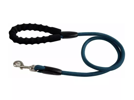 Laisse pour Chien 