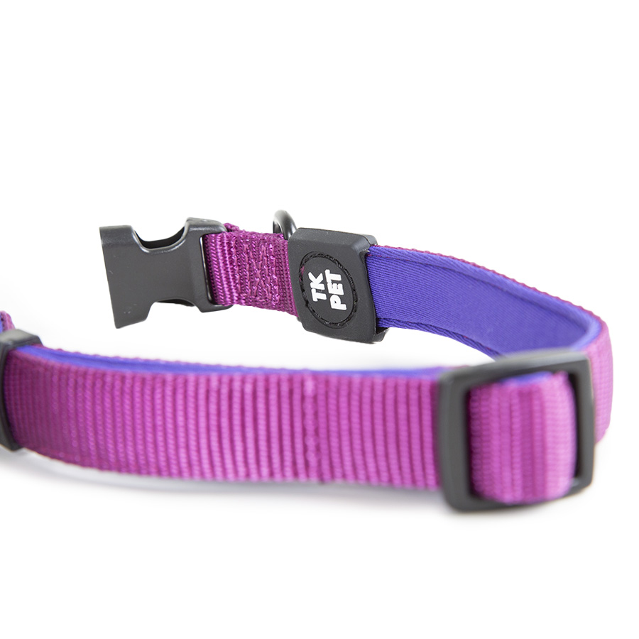 Coleira para cães TK-Pet Neo Classic em nylon roxo