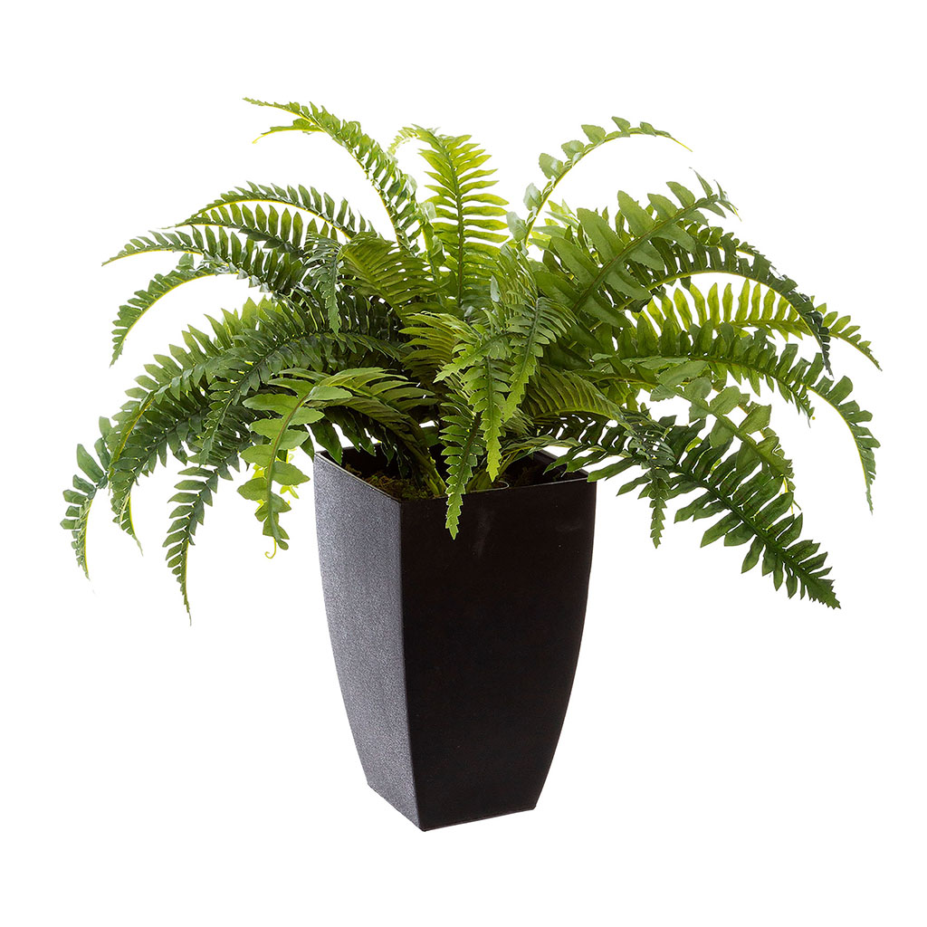 Plante artificielle fougère pot plastique H 55cm