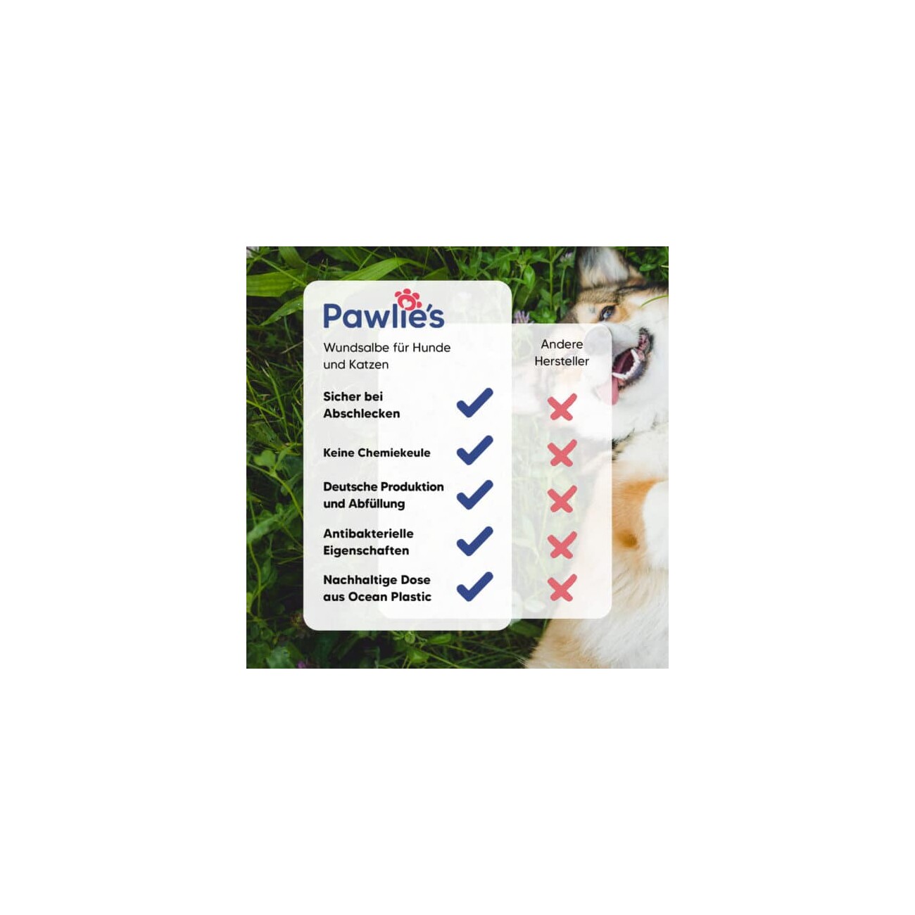 Pawlie's Pawlies Wundsalbe für Hunde & Katzen (50ml)