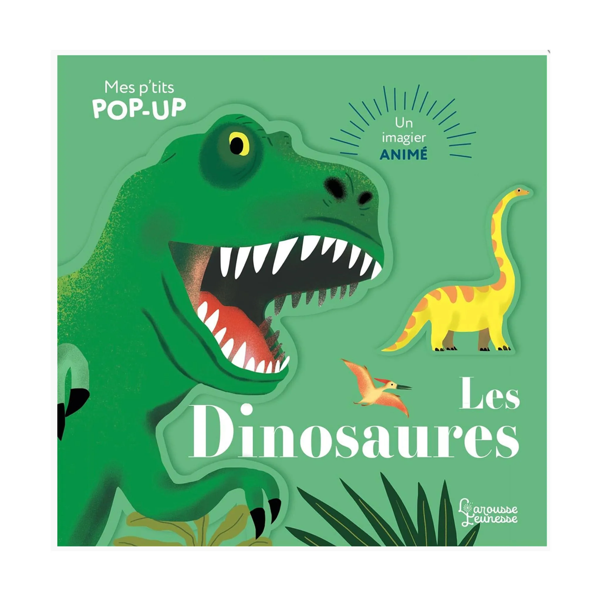 Clément - Équipement Mes P'tits PopUp Les Dinosaures