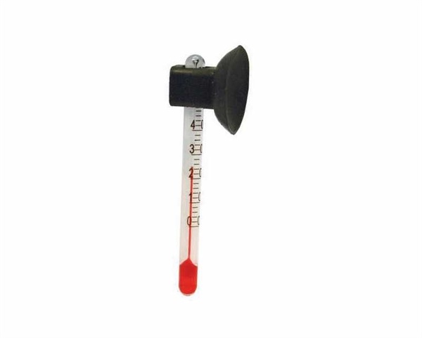 Nano Thermometer