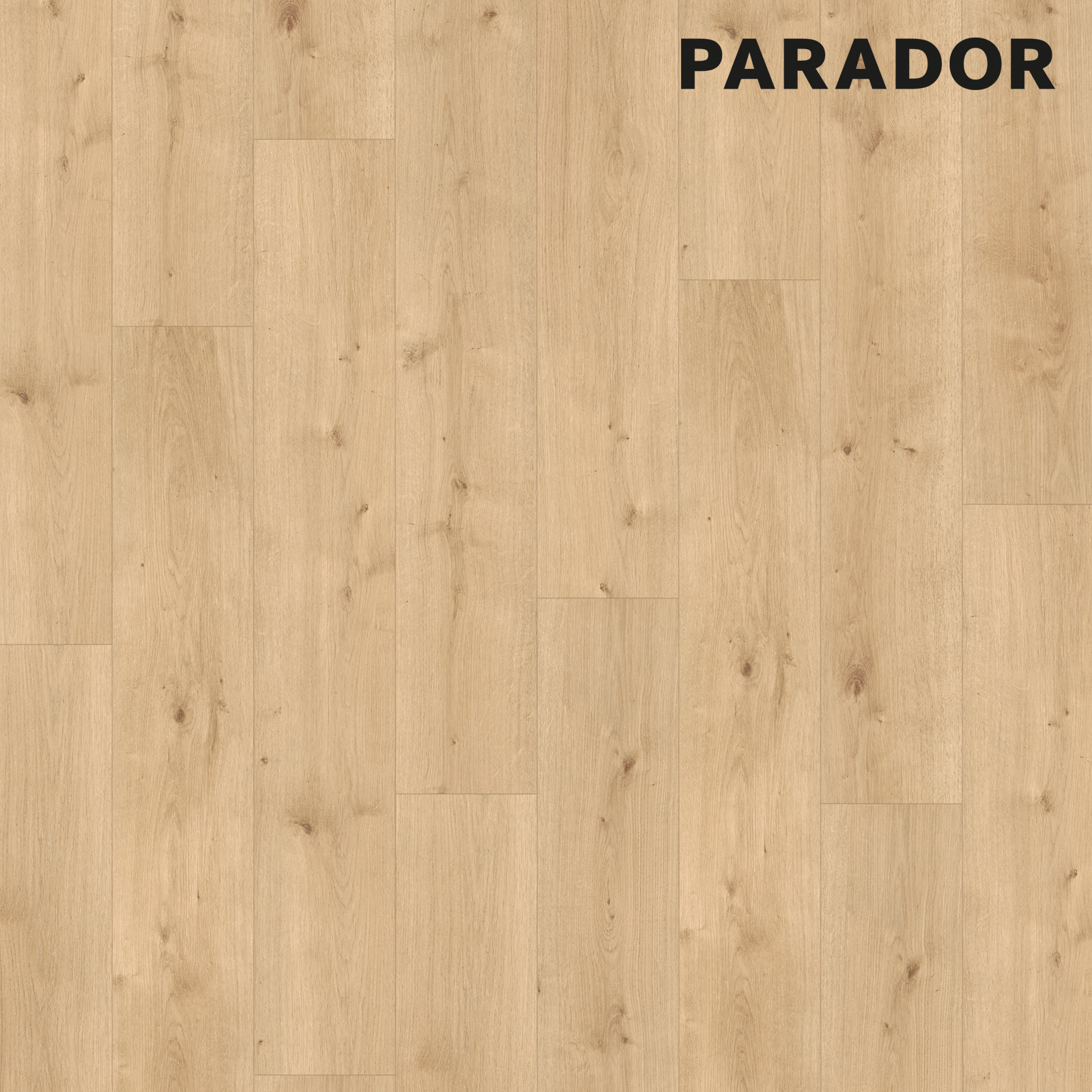 PARADOR Designboden MODULAR ONE - Eiche Pure hell - 8 mm