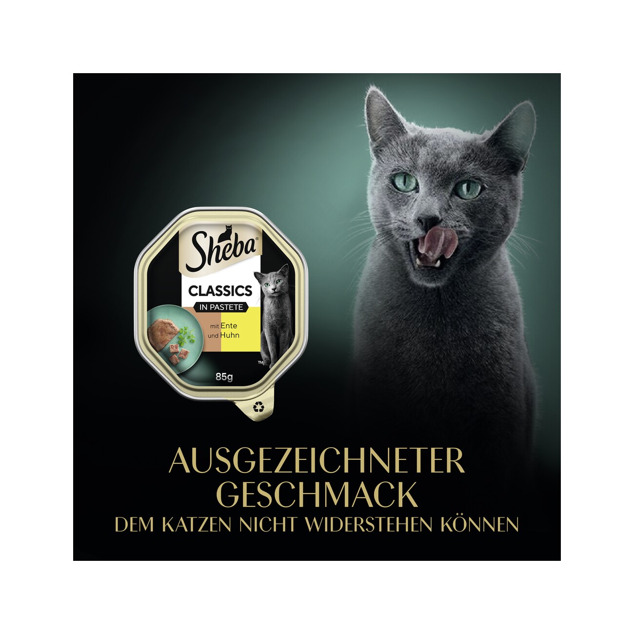 Sheba Classics in Pastete 22x85g mit Ente und Huhn