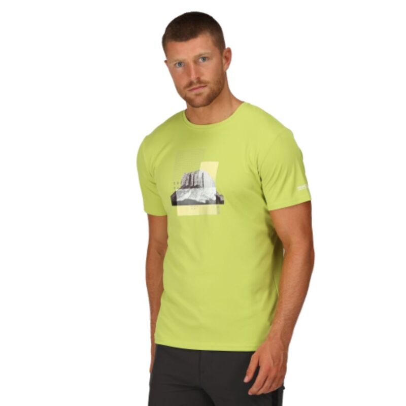 Camiseta Estampada Regata Fingal Vii