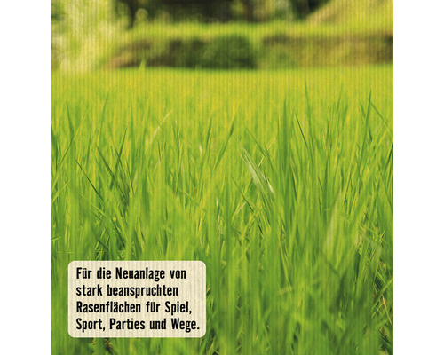 Slijtvaste graszoden FloraSelf Select RSM 2.3 1 kg / 50 m²