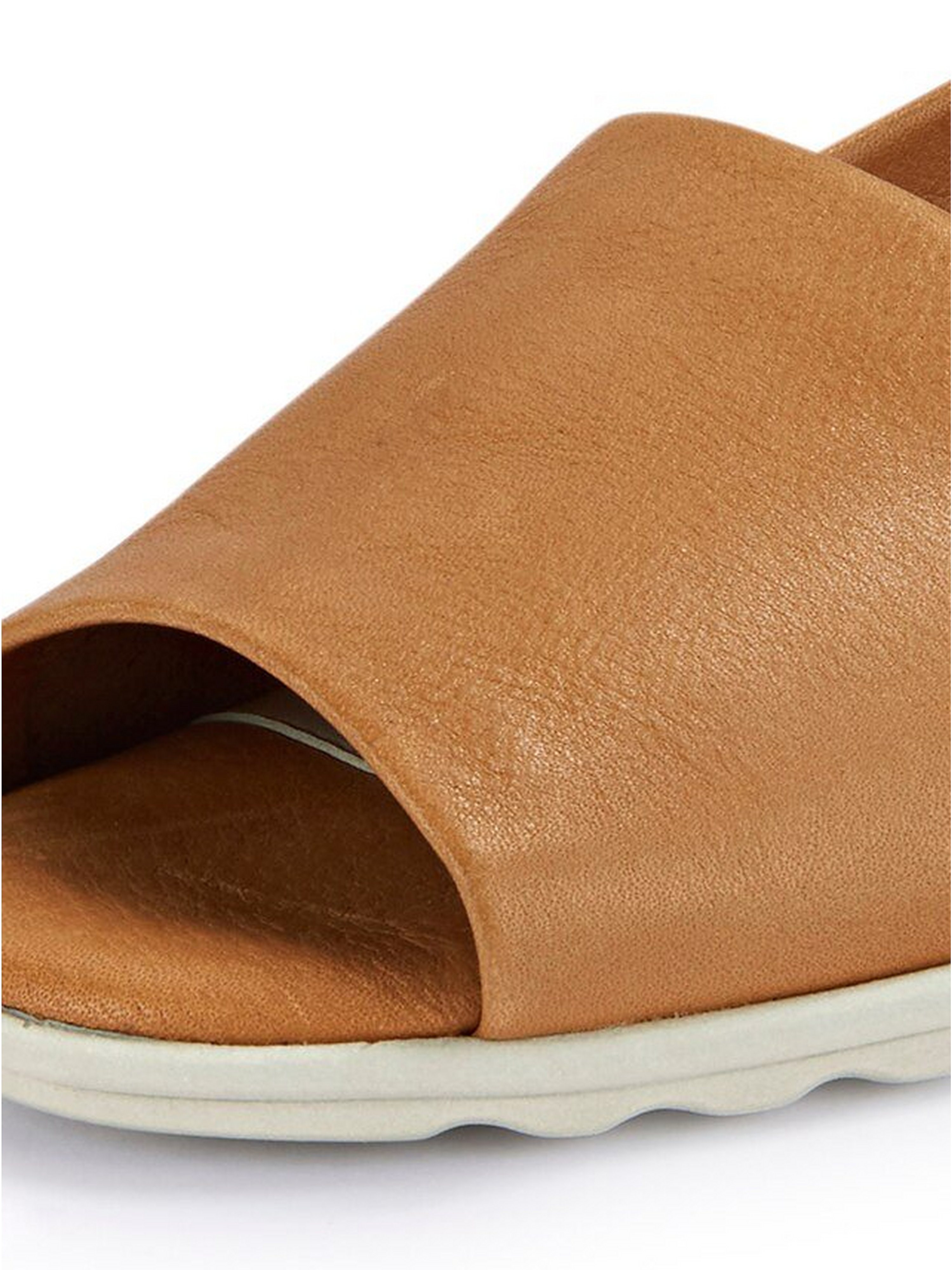 Slipper Fantastic