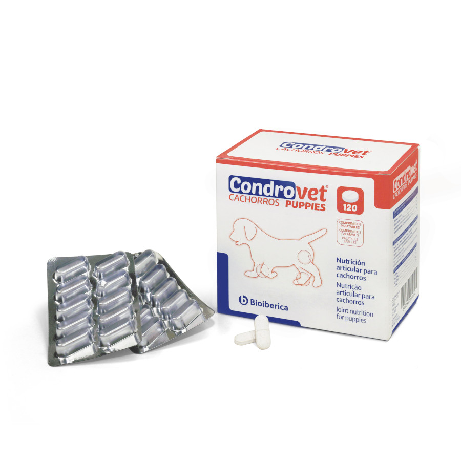 Bioiberica Condrovet Condroprotetor articular para filhotes