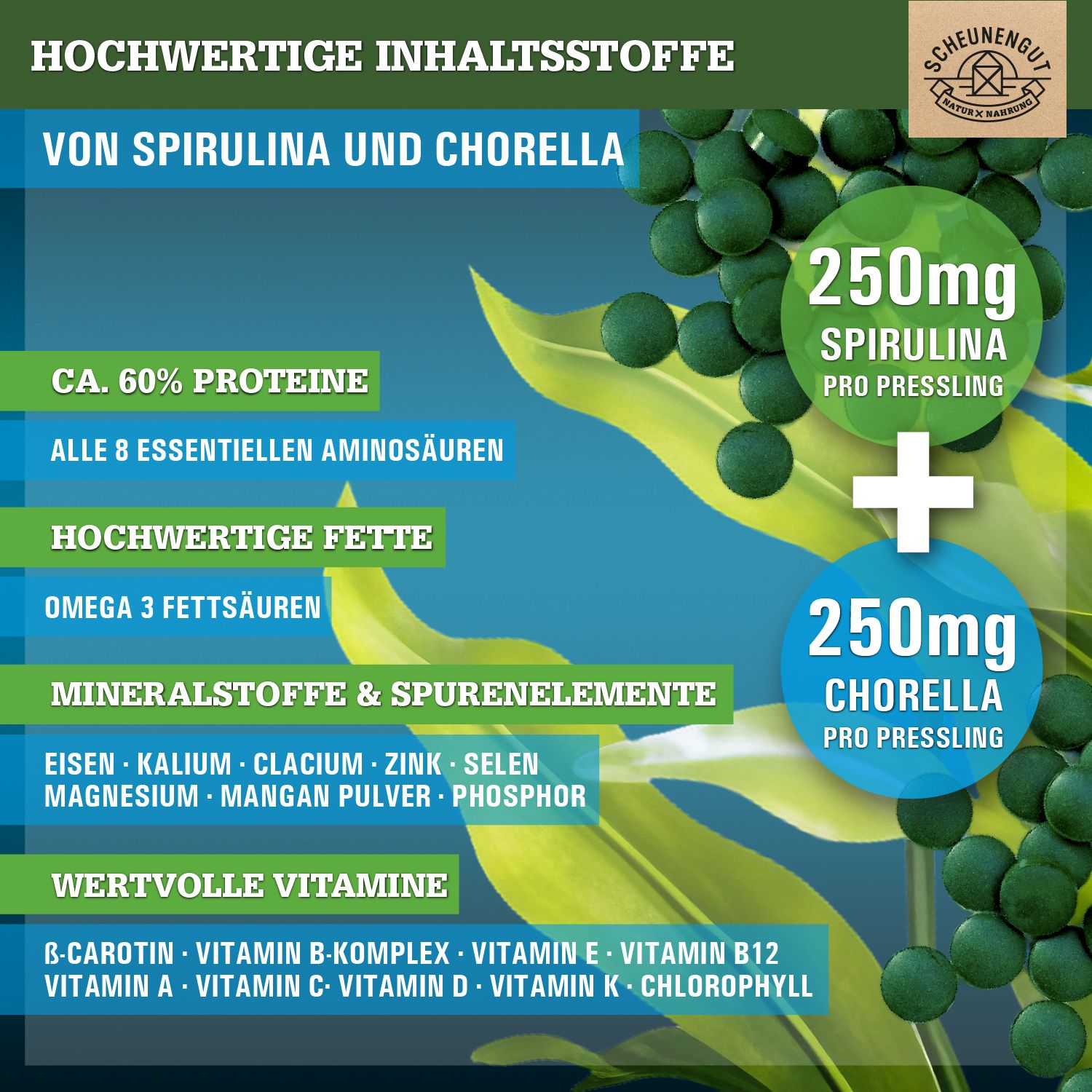 Scheunengut® Bio Spirulina Chlorella Presslinge | Hoch bioverfügbarer 50:50 Mix
