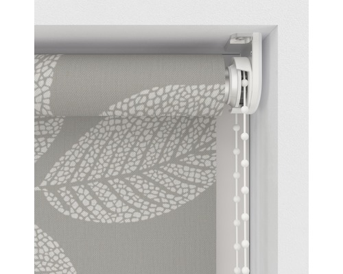 Soluna daglichtrolgordijn D10 bladeren beige 60x190 cm
