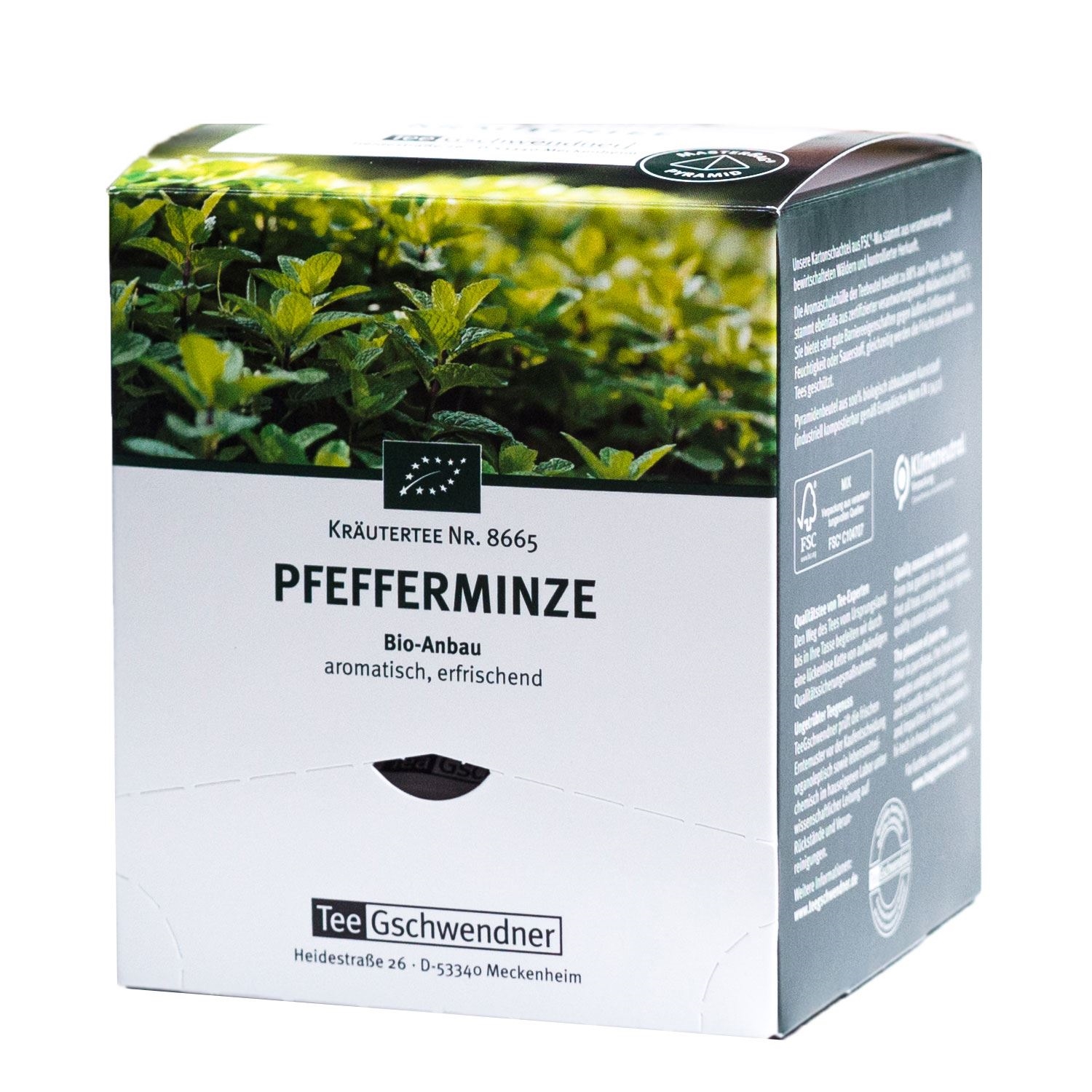 Pfefferminze Bio (MasterBag® Pyramid)