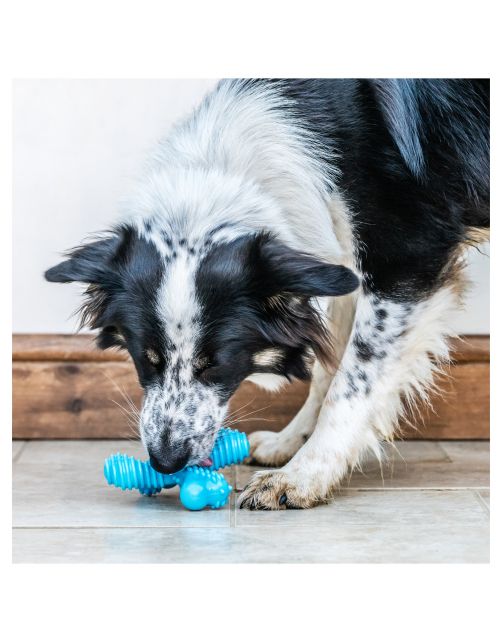 Nylabone Extreme Chew X Bone Rund - Hondenspeelgoed