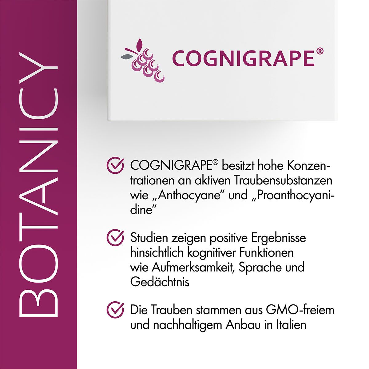 BOTANICY Ginkgo Complex