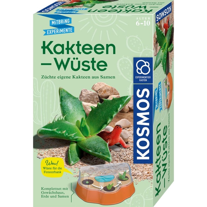 Mitbring-Experimente - Kakteen-Wüste