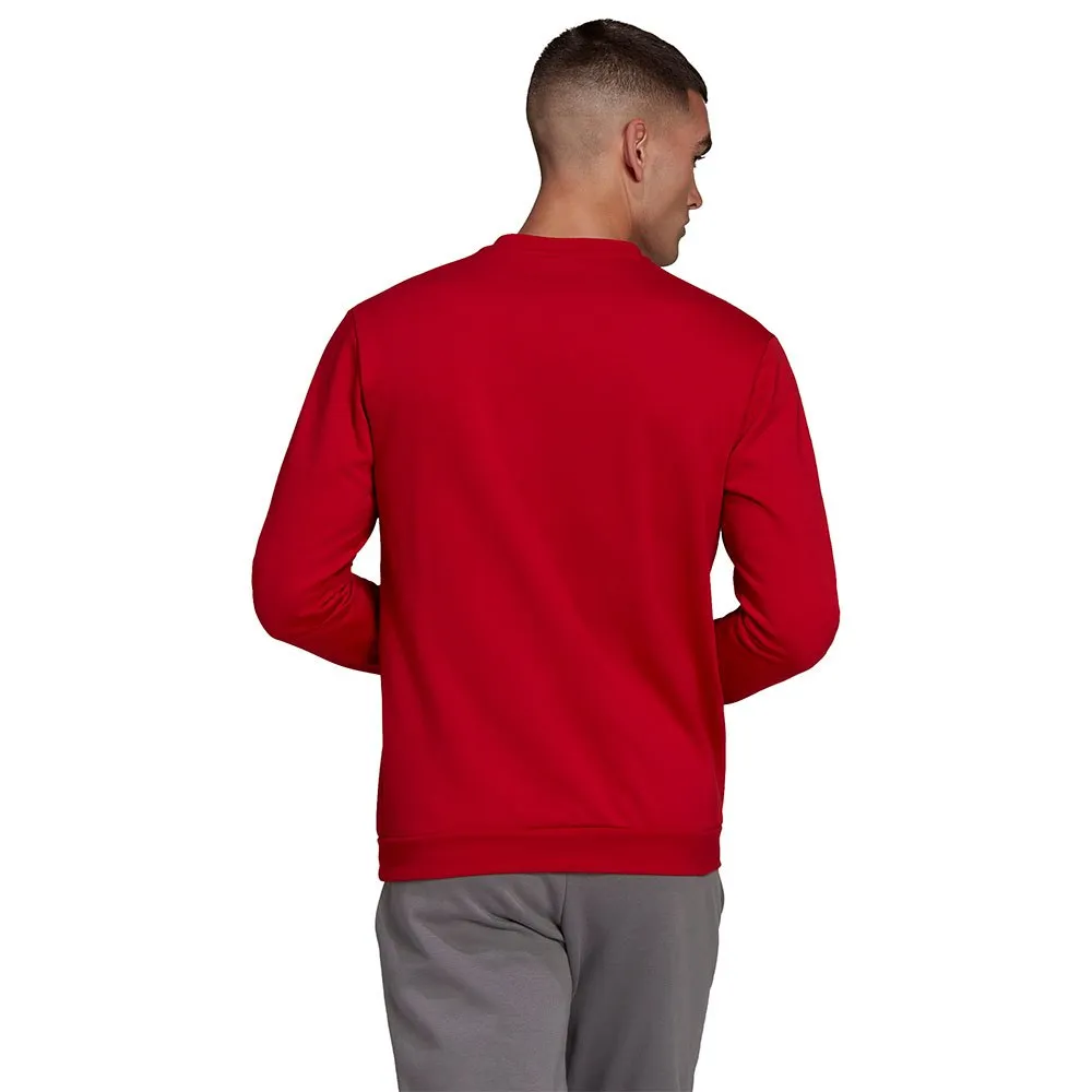 Moletom adidas Entrada 22 Stadium SW