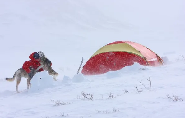 Helsport Svalbard 6 Camp Nocolour