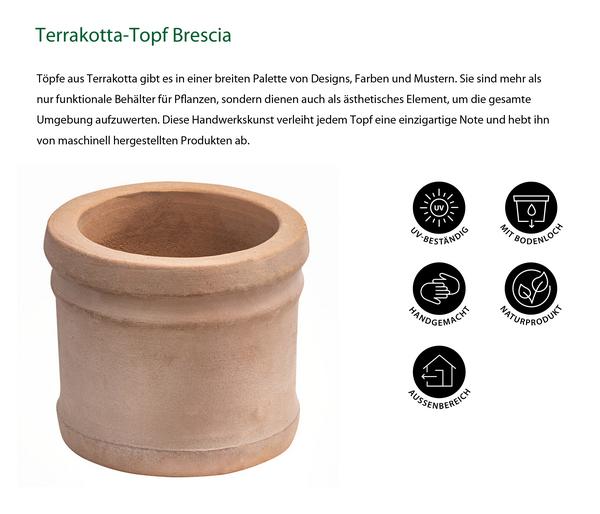 Dehner Terrakotta-Topf Brescia, rund