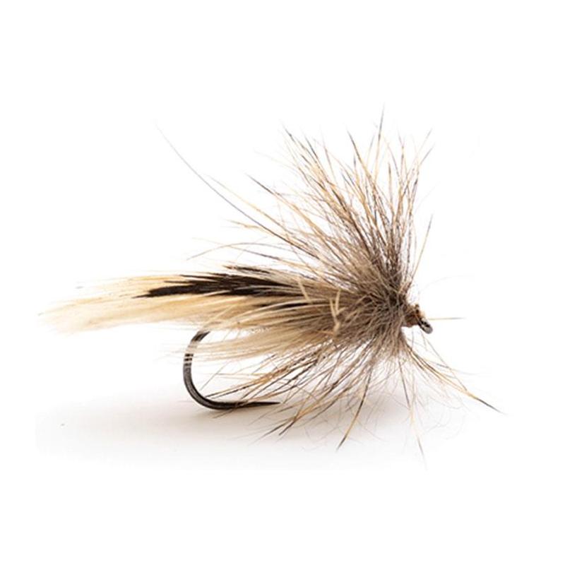 Mouche Devaux Sedge Tricoptheres Jbp17