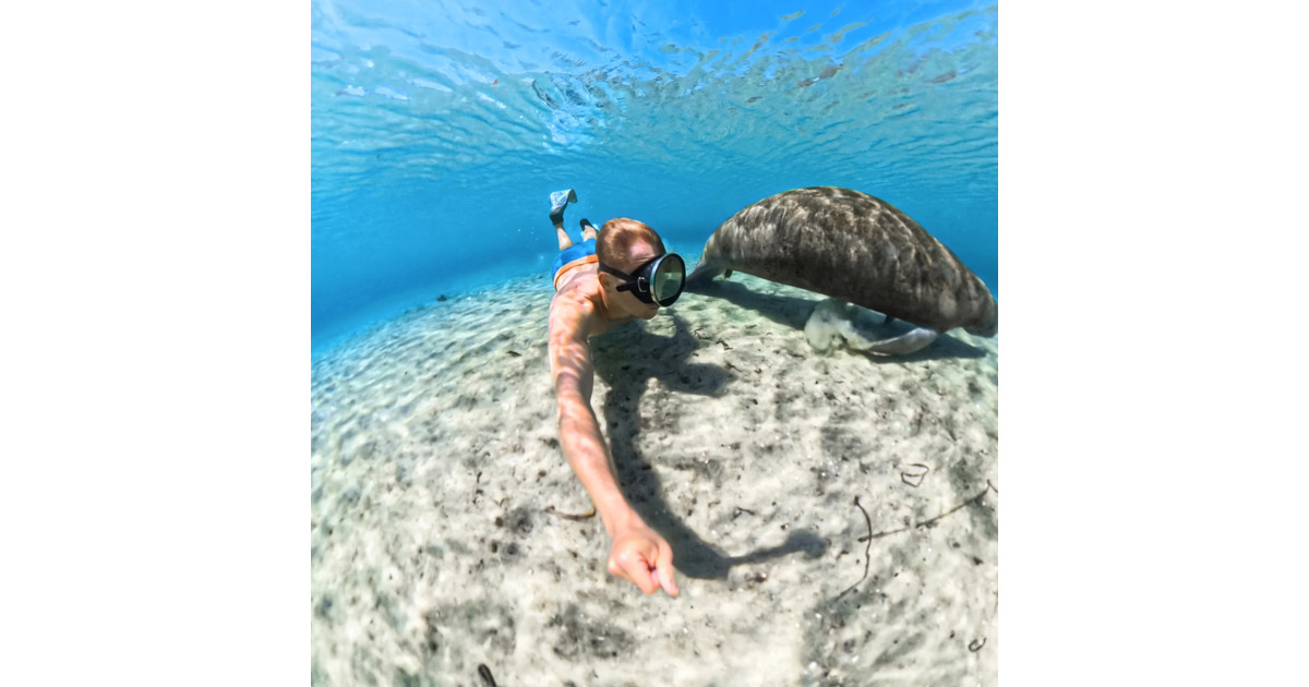Insta360X5 Invisible Dive Case onderwaterbehuizing  (Transparant)