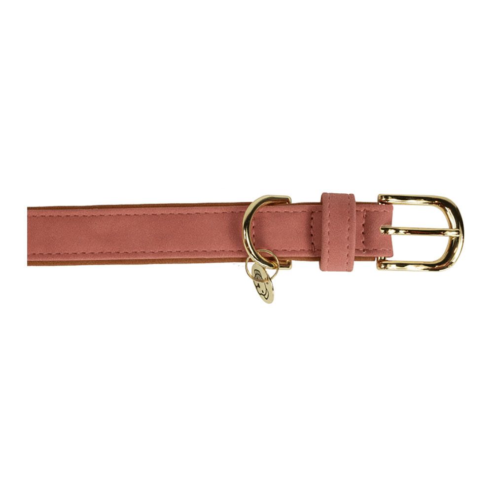 Kentucky CUIR VEGAN -  Collier pour chien peach/brown