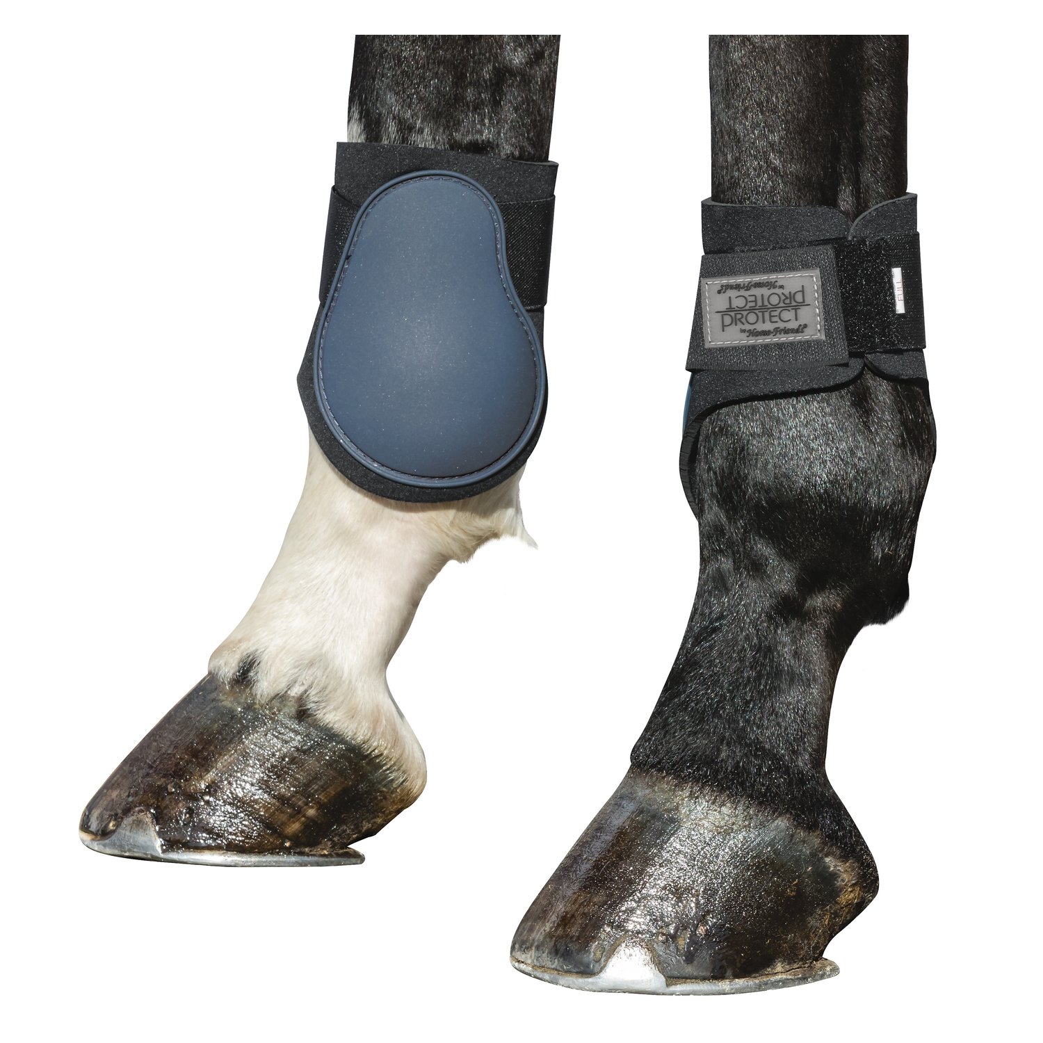 PROTECT by Horse-friends Streichkappen  - ensign blue