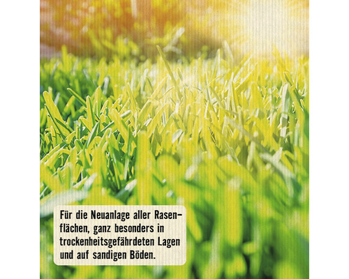Droog gras - klimaatgras FloraSelf Select 2,8 kg / 100 m²