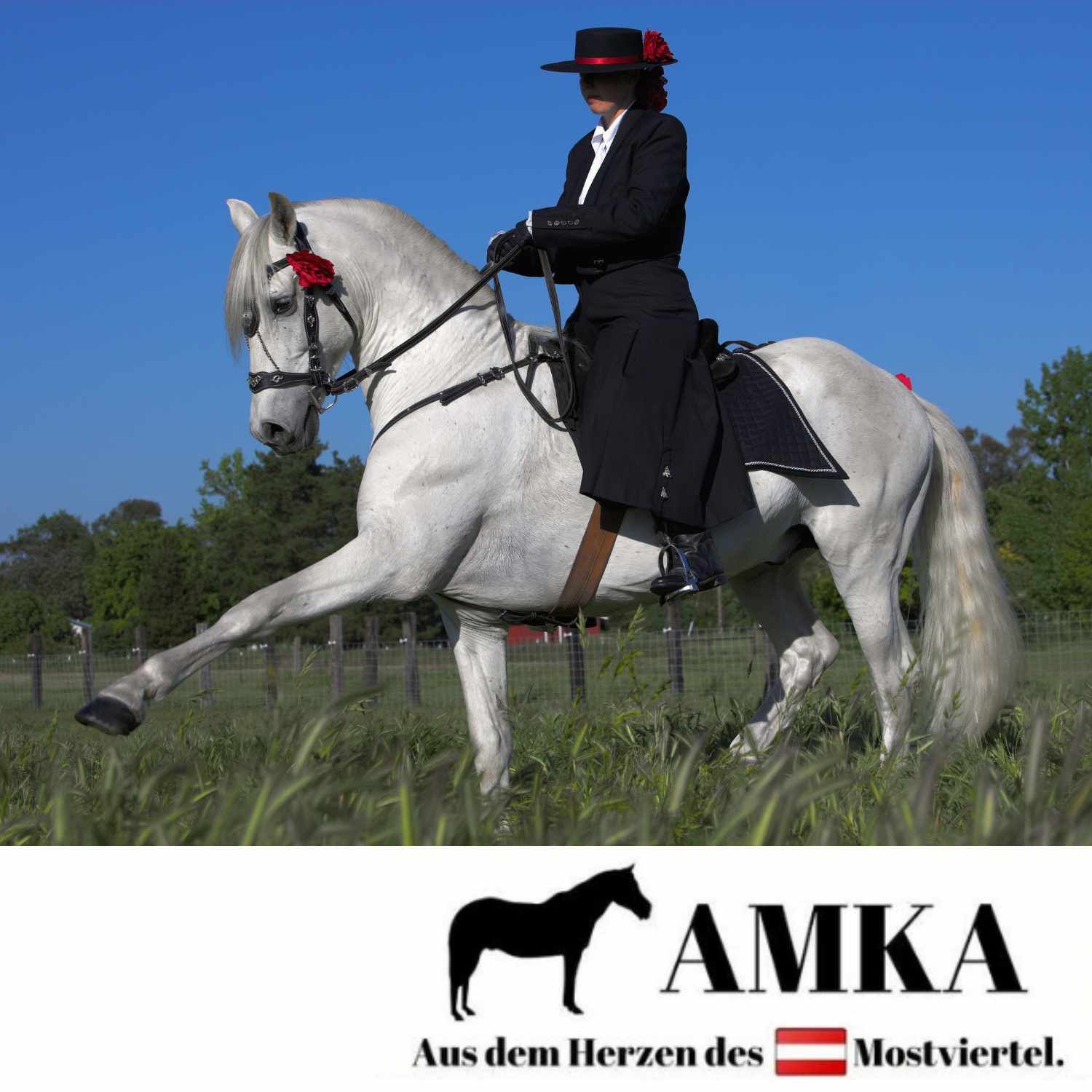 AMKA Fellsattel ALVARO Pony spanischer Stil