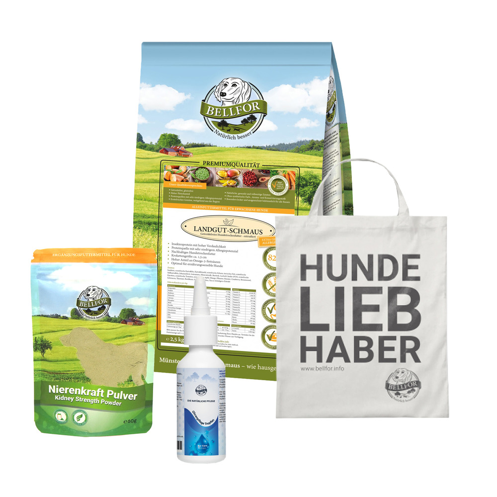Kit de soins des oreilles pour les chiens de taille moyenne souffrant d'allergies alimentaires