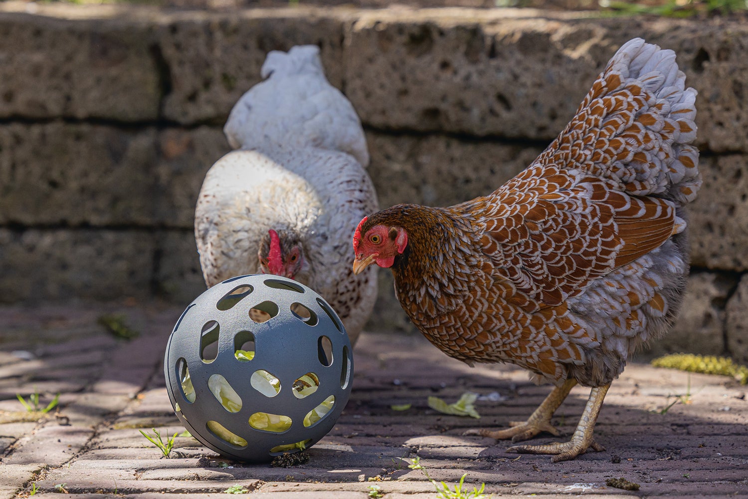 Beeztees kippenvoerbak speel snackbal grijs D 15 H 15 cm